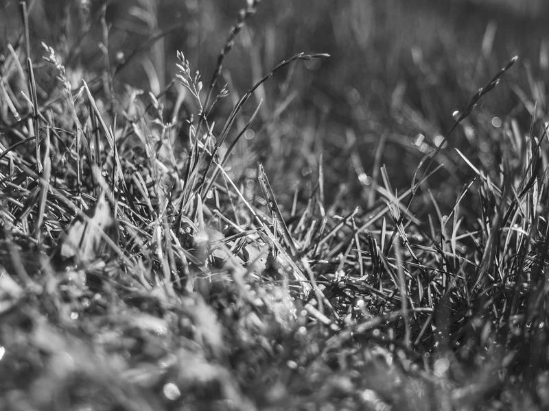 privacy screenshot 1